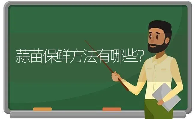 蒜苗保鲜方法有哪些? | 养殖技术大全
