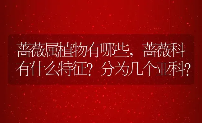 蔷薇属植物有哪些,蔷薇科有什么特征?分为几个亚科？ | 养殖科普