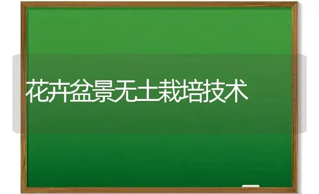 花卉盆景无土栽培技术 | 养殖技术大全