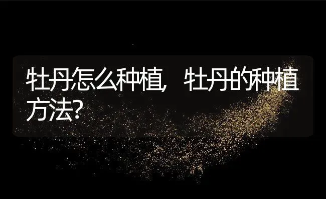 牡丹怎么种植,牡丹的种植方法？ | 养殖学堂