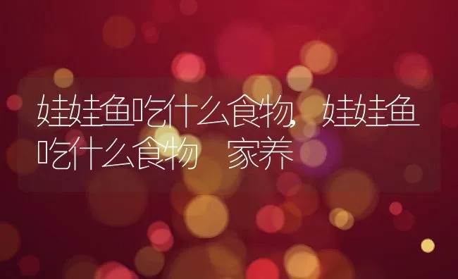 娃娃鱼吃什么食物,娃娃鱼吃什么食物 家养 | 养殖资料
