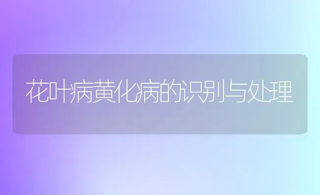 花叶病黄化病的识别与处理 | 养殖知识