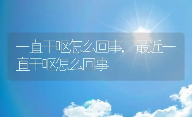 一直干呕怎么回事,最近一直干呕怎么回事 | 养殖科普