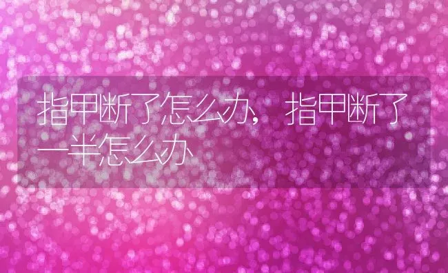 指甲断了怎么办,指甲断了一半怎么办 | 养殖科普