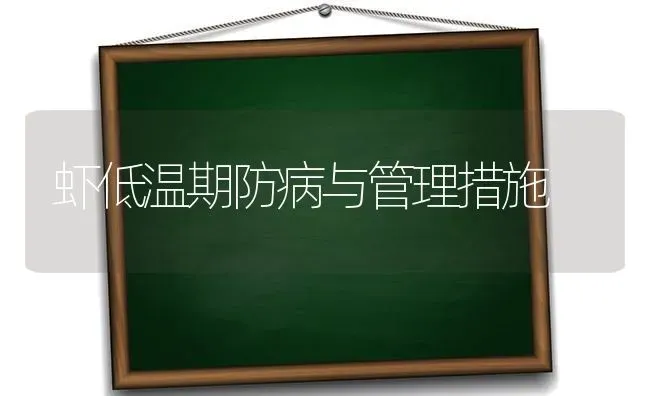 虾低温期防病与管理措施 | 养殖技术大全