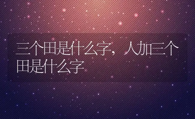 三个田是什么字,人加三个田是什么字 | 养殖资料