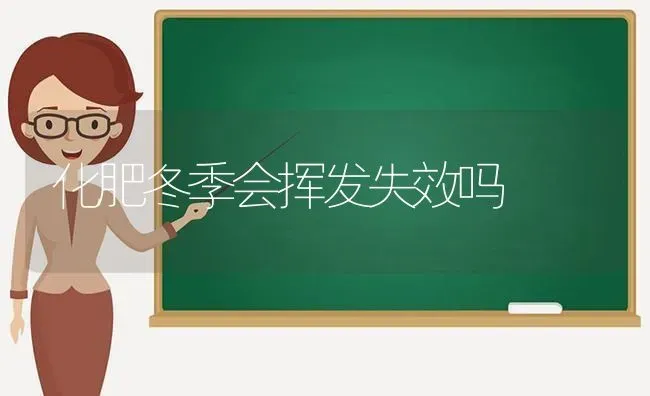 化肥冬季会挥发失效吗 | 养殖技术大全