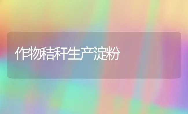 作物秸秆生产淀粉 | 养殖知识