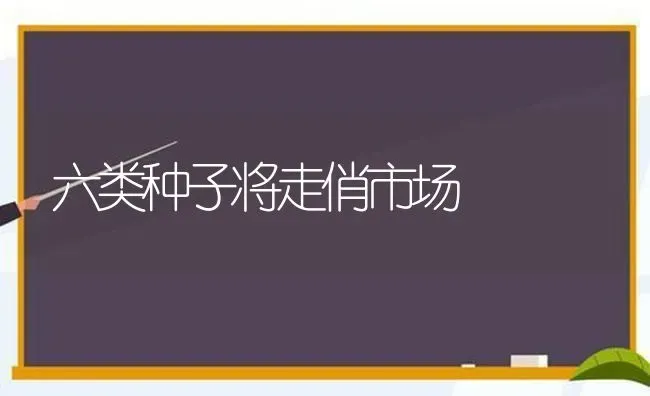 六类种子将走俏市场 | 养殖技术大全