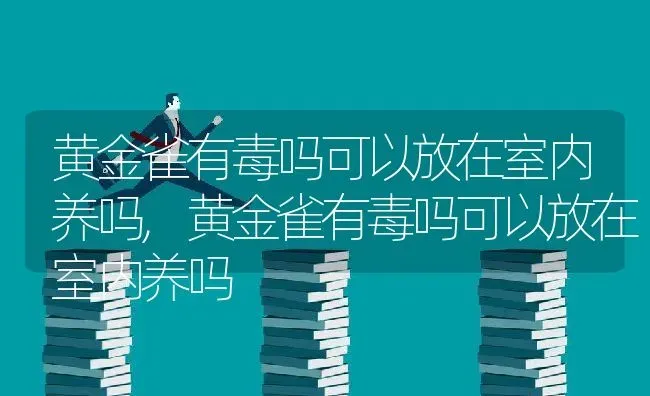 黄金雀有毒吗可以放在室内养吗,黄金雀有毒吗可以放在室内养吗 | 养殖学堂