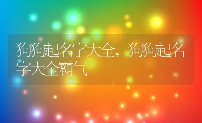 狗狗起名字大全,狗狗起名字大全霸气 | 养殖科普