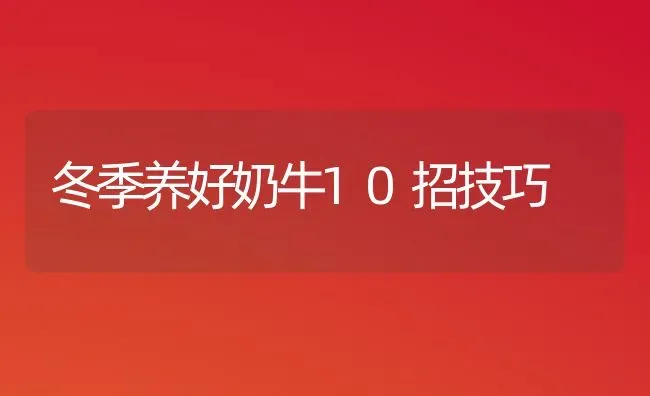 冬季养好奶牛10招技巧 | 养殖技术大全