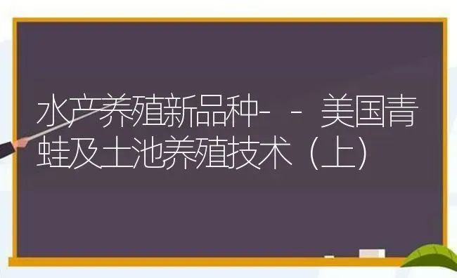 水产养殖新品种--美国青蛙及土池养殖技术(上) | 养殖技术大全