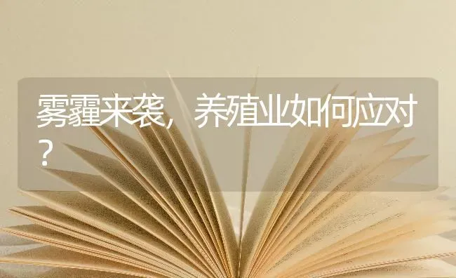 雾霾来袭,养殖业如何应对? | 养殖技术大全
