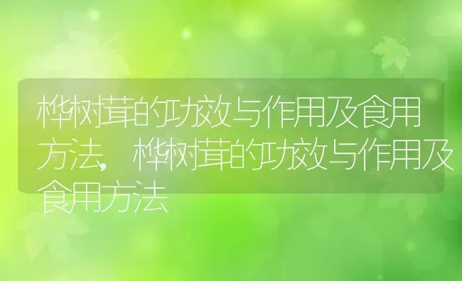 桦树茸的功效与作用及食用方法,桦树茸的功效与作用及食用方法 | 养殖科普