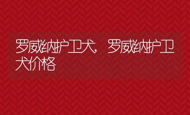 罗威纳护卫犬,罗威纳护卫犬价格 | 养殖资料