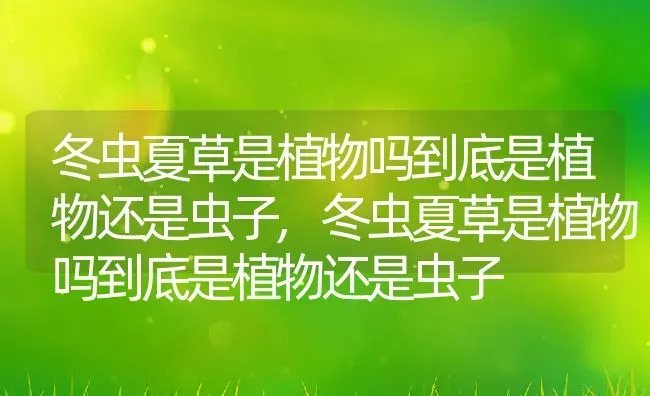 冬虫夏草是植物吗到底是植物还是虫子,冬虫夏草是植物吗到底是植物还是虫子 | 养殖科普