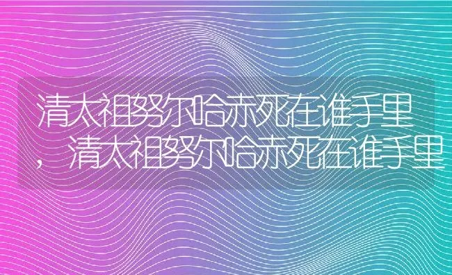 中华木绣球花语,中华木绣球花语 | 养殖科普