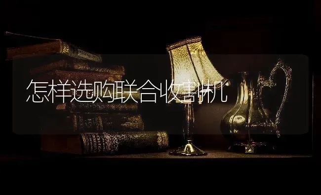 怎样选购联合收割机 | 养殖技术大全