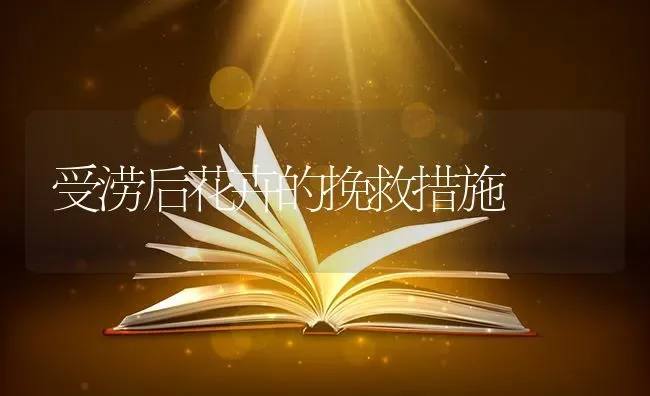 受涝后花卉的挽救措施 | 养殖知识