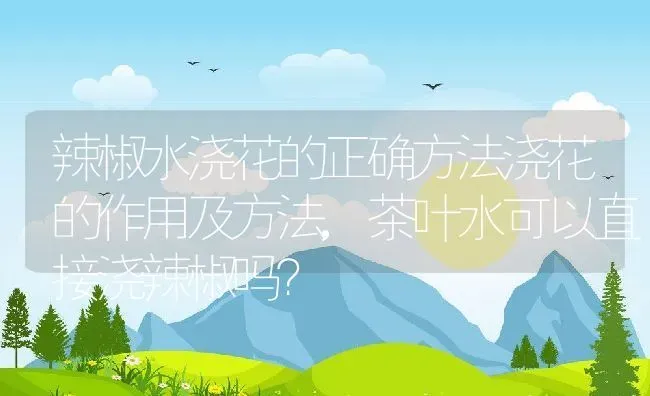 辣椒水浇花的正确方法浇花的作用及方法,茶叶水可以直接浇辣椒吗？ | 养殖科普