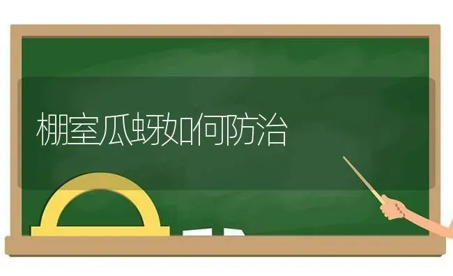 棚室瓜蚜如何防治 | 养殖知识