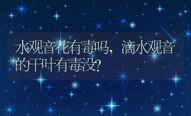 水观音花有毒吗,滴水观音的干叶有毒没？ | 养殖科普