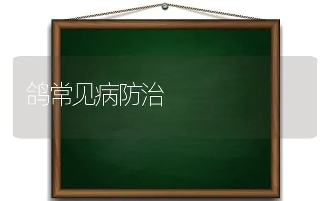 鸽常见病防治 | 养殖技术大全