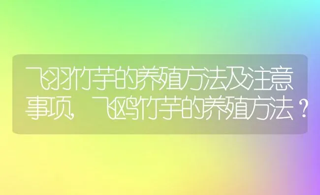 飞羽竹芋的养殖方法及注意事项,飞鸥竹芋的养殖方法？ | 养殖科普