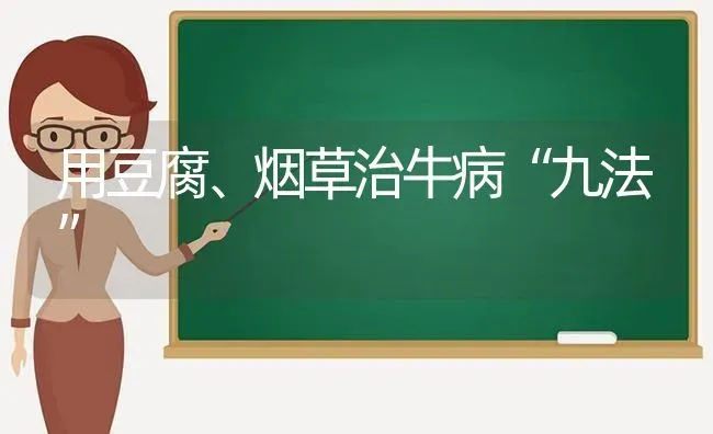 用豆腐、烟草治牛病“九法” | 养殖技术大全