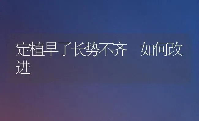 定植早了长势不齐 如何改进 | 养殖技术大全