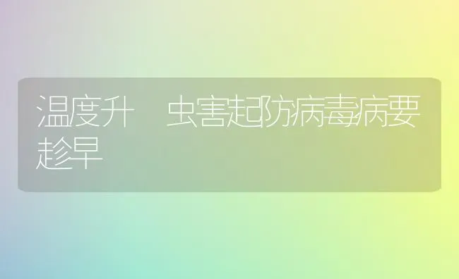 温度升 虫害起防病毒病要趁早 | 养殖技术大全