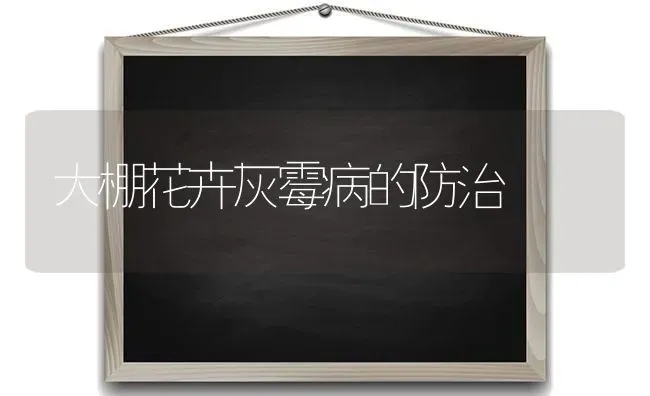 大棚花卉灰霉病的防治 | 养殖知识