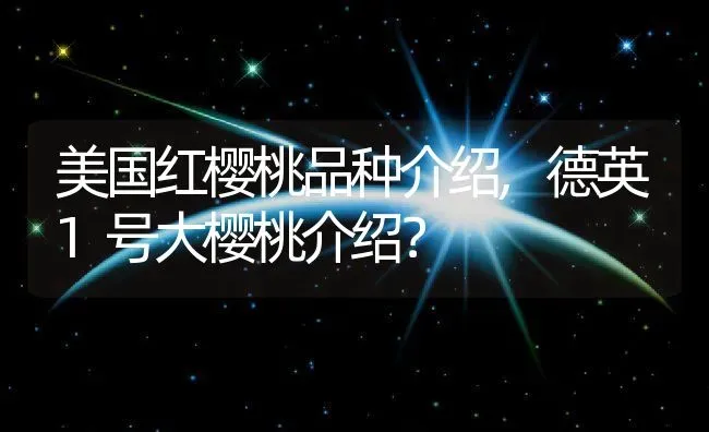 美国红樱桃品种介绍,德英1号大樱桃介绍？ | 养殖科普