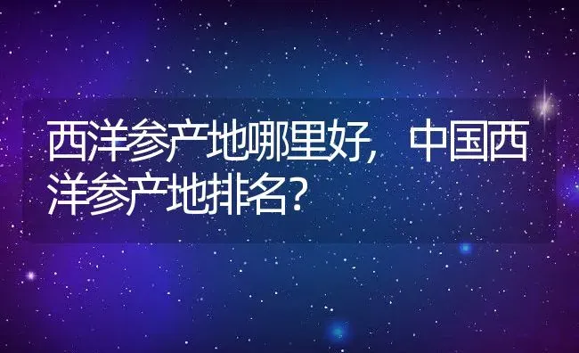 西洋参产地哪里好,中国西洋参产地排名？ | 养殖科普