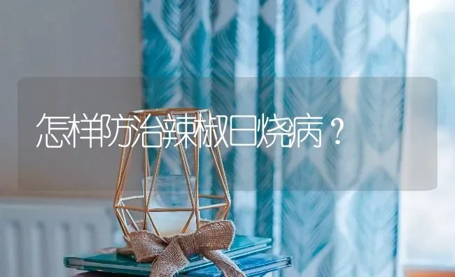 怎样防治辣椒日烧病? | 养殖技术大全