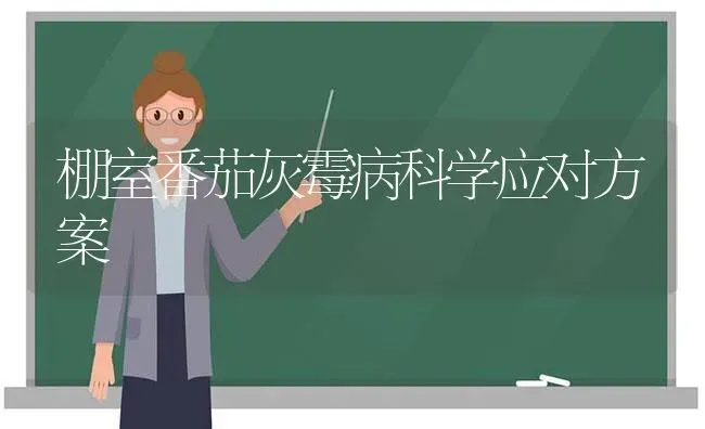 棚室番茄灰霉病科学应对方案 | 养殖技术大全