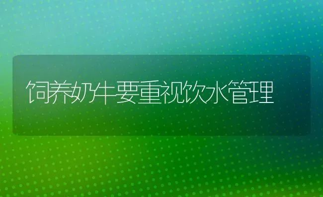 饲养奶牛要重视饮水管理 | 养殖技术大全