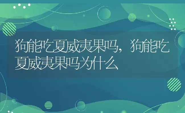 狗能吃夏威夷果吗,狗能吃夏威夷果吗为什么 | 养殖资料