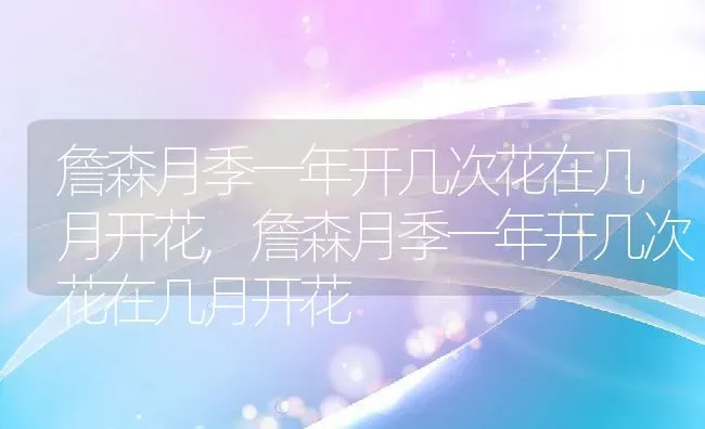 詹森月季一年开几次花在几月开花,詹森月季一年开几次花在几月开花 | 养殖科普