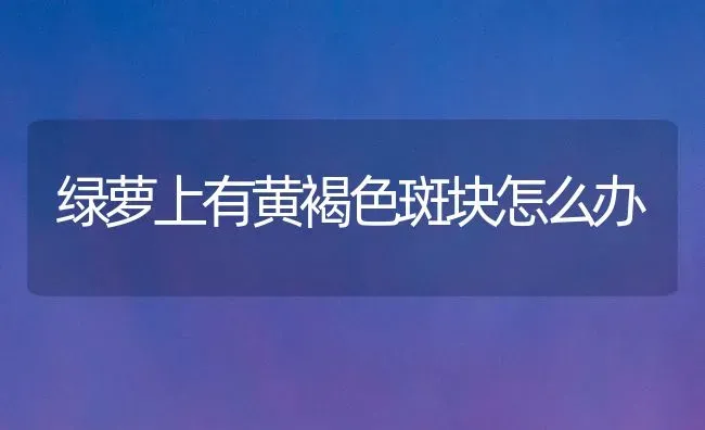 绿萝上有黄褐色斑块怎么办 | 养殖技术大全