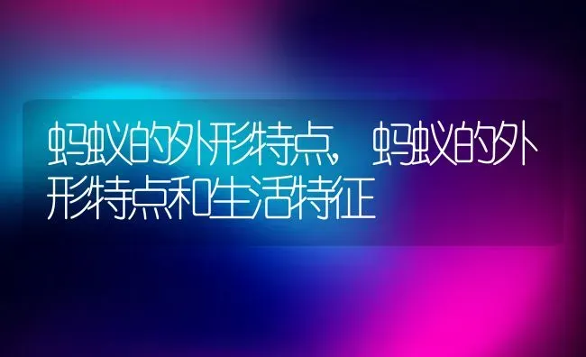 蚂蚁的外形特点,蚂蚁的外形特点和生活特征 | 养殖科普