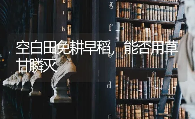 空白田免耕早稻,能否用草甘膦灭 | 养殖知识
