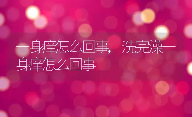 一身痒怎么回事,洗完澡一身痒怎么回事 | 养殖资料