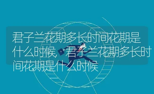 君子兰花期多长时间花期是什么时候,君子兰花期多长时间花期是什么时候 | 养殖科普