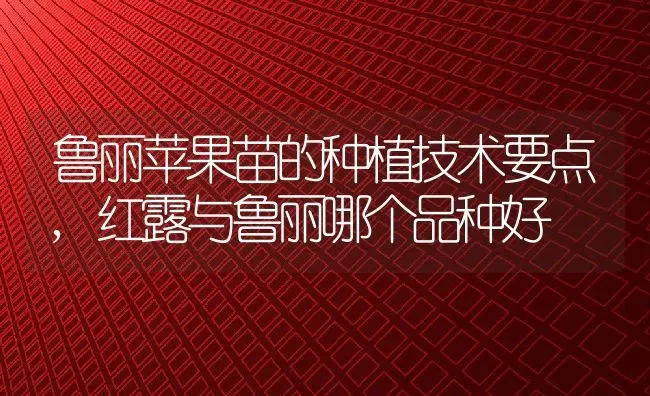 无尽夏的花语是什么,什么花的名字很浪漫、唯美 | 养殖学堂