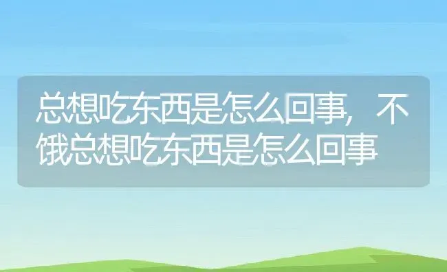 总想吃东西是怎么回事,不饿总想吃东西是怎么回事 | 养殖科普