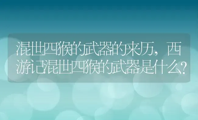 跳蚤最怕什么,跳蚤最怕什么四种去除方法 | 养殖资料