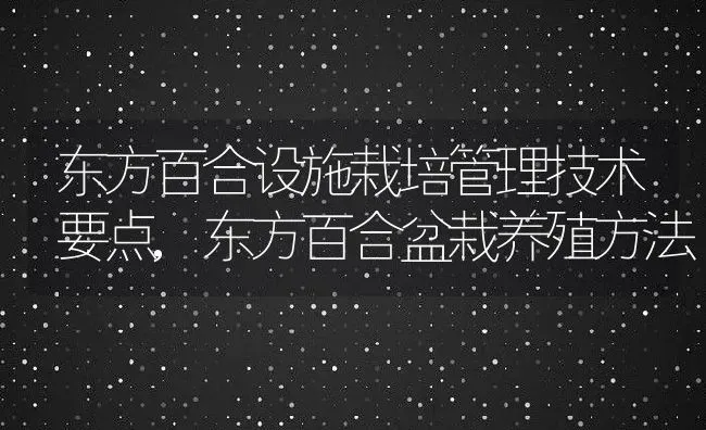 东方百合设施栽培管理技术要点,东方百合盆栽养殖方法 | 养殖学堂