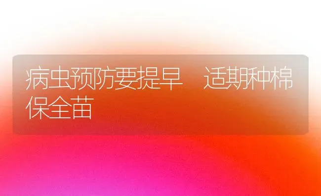 病虫预防要提早　适期种棉保全苗 | 养殖技术大全